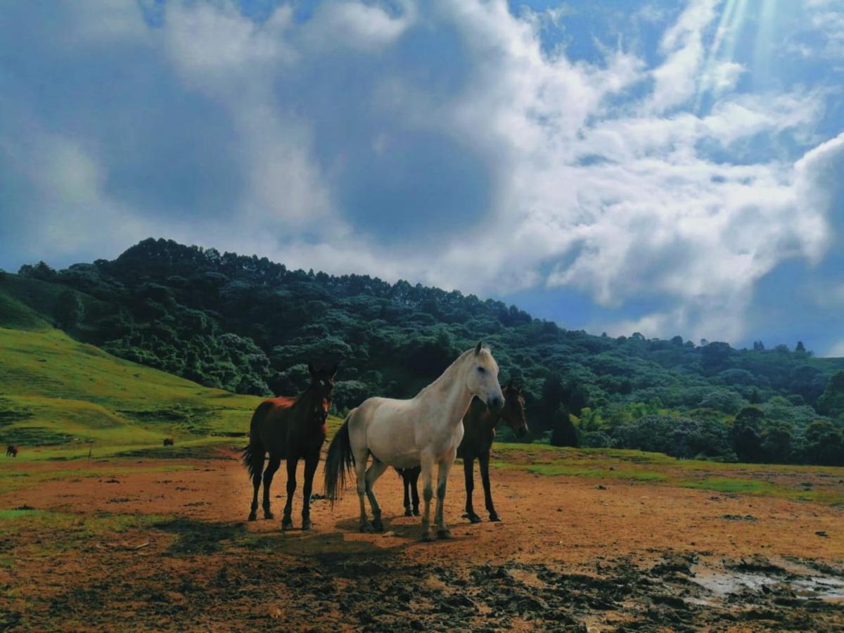 Finca Recreacional Marcelandia Santa Rosa de Cabal Εξωτερικό φωτογραφία