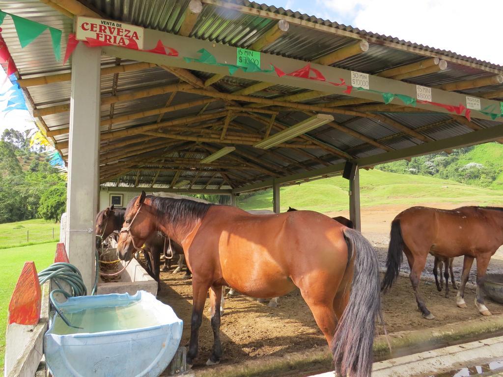 Finca Recreacional Marcelandia Santa Rosa de Cabal Εξωτερικό φωτογραφία